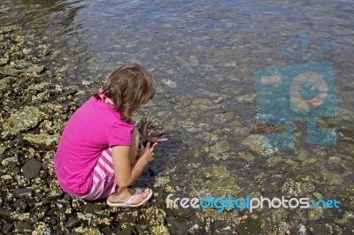 Curiosity Stock Photo