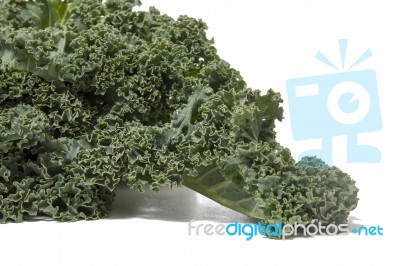 Curly Leaf Kale Stock Photo