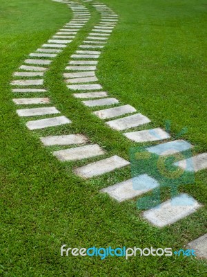 Curve Way On Grass Stock Photo