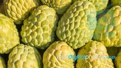 Custard Apple Stock Photo