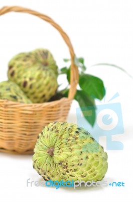 Custard Apple Stock Photo Custard Apple Stock Photo