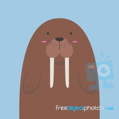 Cute Big Fat Walrus Stock Image