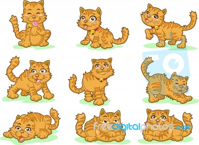 Cute Kittens On White Background  Stock Image