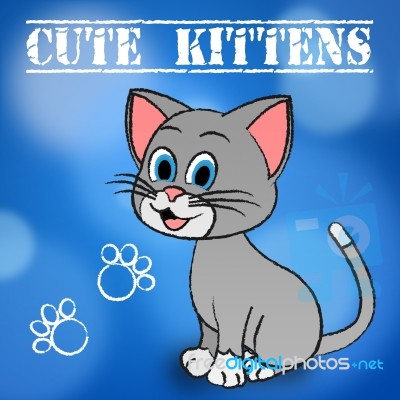 Cute Kittens Represents Domestic Cat And Cats Stock Image