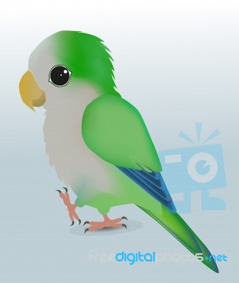 Cute Parrot Stock Image