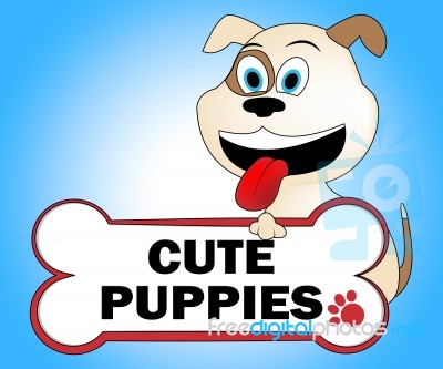 Cute Puppies Shows Lovable Dogs And Pretty Stock Image
