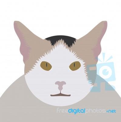 Cute Thai Cat Face Stock Image