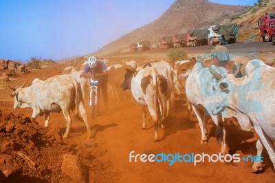 Cycling In Kenya Stock Photo