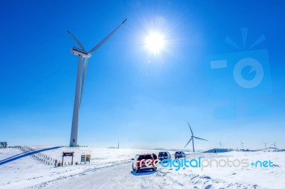 Daegeallyeong Samyang Ranch,korea - Feb 7: Eco Green Campus,daegwallyeong Samyang Ranch In Winter And Tourists With Car In Daegwallyeong Samyang Ranch,south Korea On February 7, 2016 Stock Photo