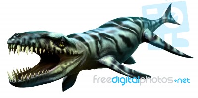 Dakosaurus Stock Image