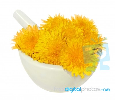 Dandelion Stock Photo