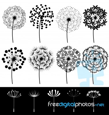 Dandelions Set Stock Image