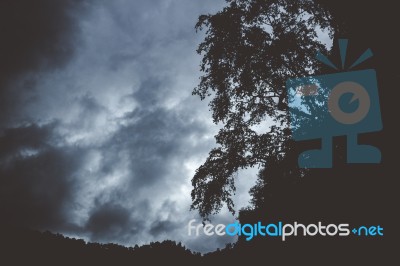 Dark Mountain With Silhouettes Of Trees Growing On The Edge Stock Photo