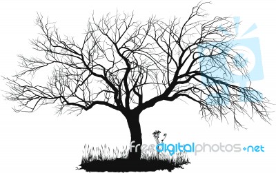 Dead Apple Tree Stock Image