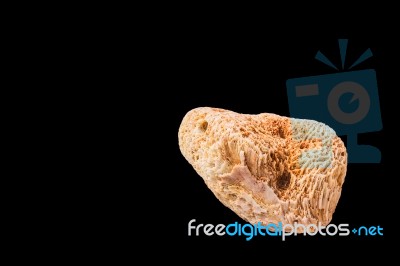 Dead Coral Flower Shape Isolated On Black Stock Photo