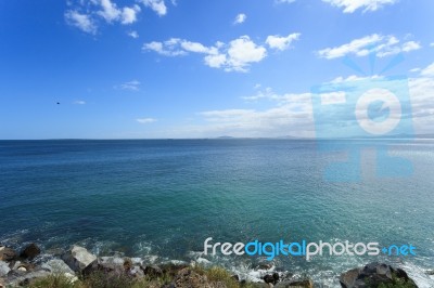 Deep Blue Sea And Beautiful Flowers Stock Photo