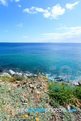 Deep Blue Sea And Beautiful Flowers Stock Photo - Royalty Free Image ID