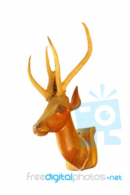 Deer Head Stock Photo