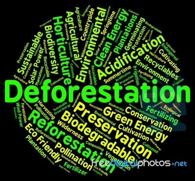 Deforestation Word Shows Cut Down And Clear Stock Image