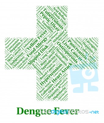 Dengue Fever Represents Poor Health And Affliction Stock Image