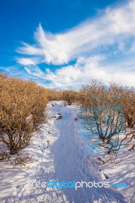 Deogyusan Mountains In Winter, South Korea Stock Photo