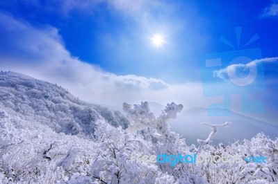 Deogyusan Mountains Is Covered By Snow And Morning Fog In Winter,south Korea Stock Photo