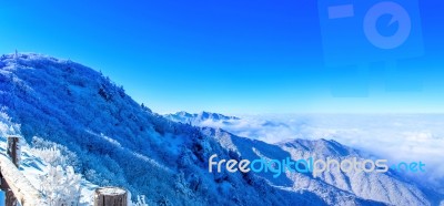 Deogyusan Mountains Is Covered By Snow And Morning Fog In Winter,south Korea Stock Photo