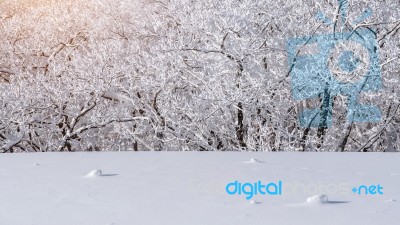Deogyusan Mountains Is Covered By Snow In Winter,south Korea Stock Photo