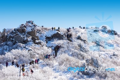 Deogyusan,korea - January 23: Tourists Taking Photos Of The Beautiful Scenery Around Deogyusan,south Korea On January 23, 2015 Stock Photo