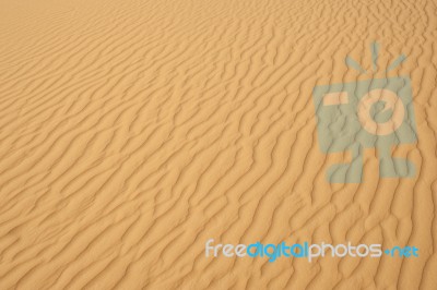 Desert Sand  Stock Photo