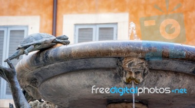Detail Of The Famous Fontana Delle Tartarughe (the Turtles Fount… Stock Photo