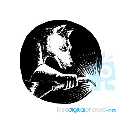 Dingo Dog Welder Scratchboard Stock Image