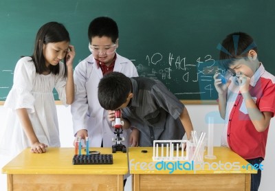 Diverse Elementary Pupils Students Learning About Basic Science Education Stock Photo