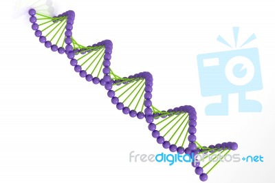 DNA On White Background Stock Image