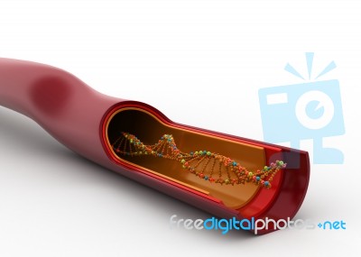 Dna  Shows In Blood Cell Stock Image