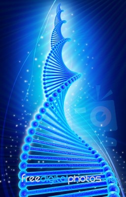 Dna Structure Stock Image