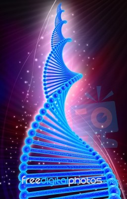 Dna Structure Stock Image