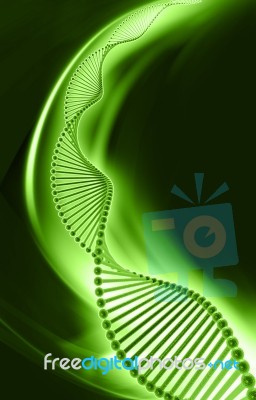 Dna Structure Stock Image