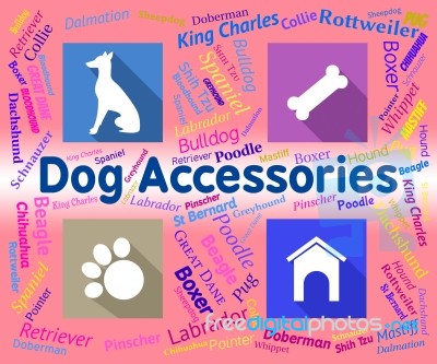 Dog Accessories Indicates Canine Accessory And Pedigree Stock Image