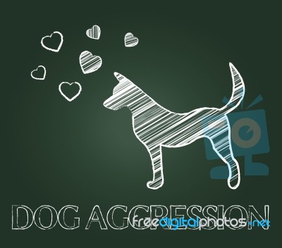 Dog Aggression Means Hostile Pups And Angry Canine Stock Image