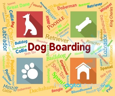 Dog Boarding Represents Pets Vacation And Puppy Stock Image