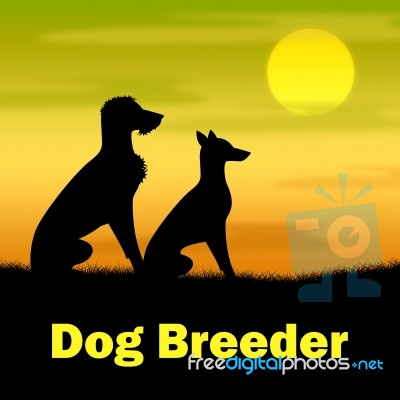 Dog Breeder Indicates Husbandry Breeding And Mate Stock Image
