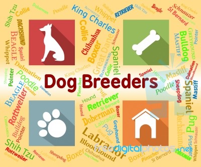 Dog Breeders Represents Mating Reproducing And Pup Stock Image