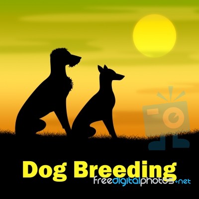 Dog Breeding Means Puppies Puppy And Darkness Stock Image