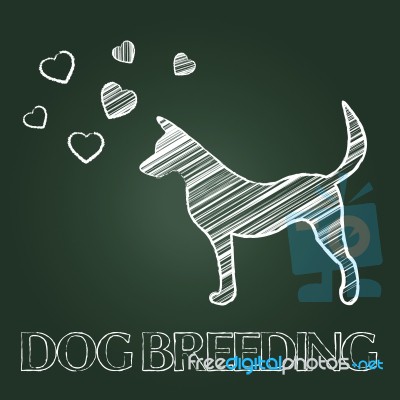 Dog Breeding Shows Breeder Pet And Offspring Stock Image