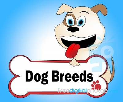 Dog Breeds Shows Purebred Pets And Pet Stock Image