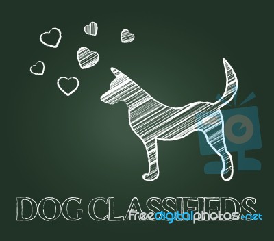 Dog Classifieds Indicates Advertisement Doggy And Purebred Stock Image
