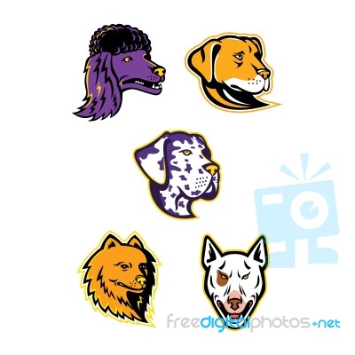 Dog Heads Mascot Collection Stock Image