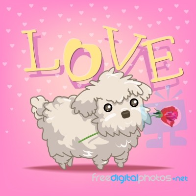Dog In Love Stock Image