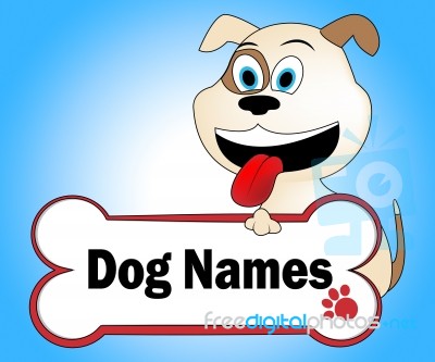 Dog Names Represents Pup Canines And Doggie Stock Image